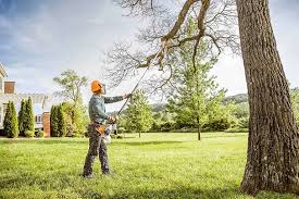 Reliable Newport, MN Tree Services Solutions