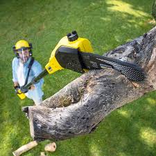 Best Pest Control for Lawns  in Newport, MN